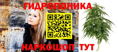 jwh Донецк