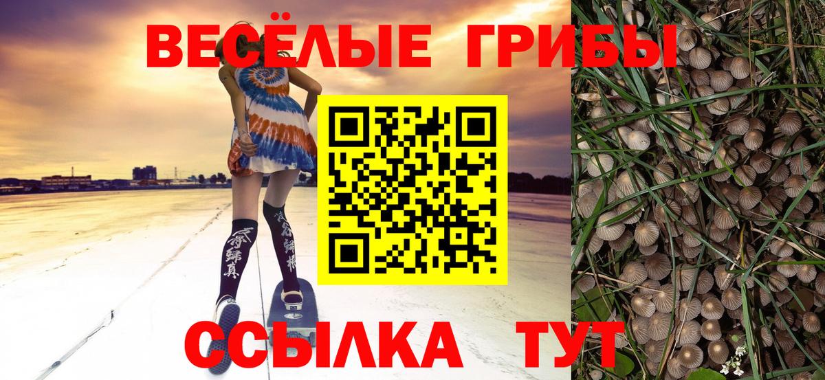 Галлюциногенные грибы ЛСД Надым