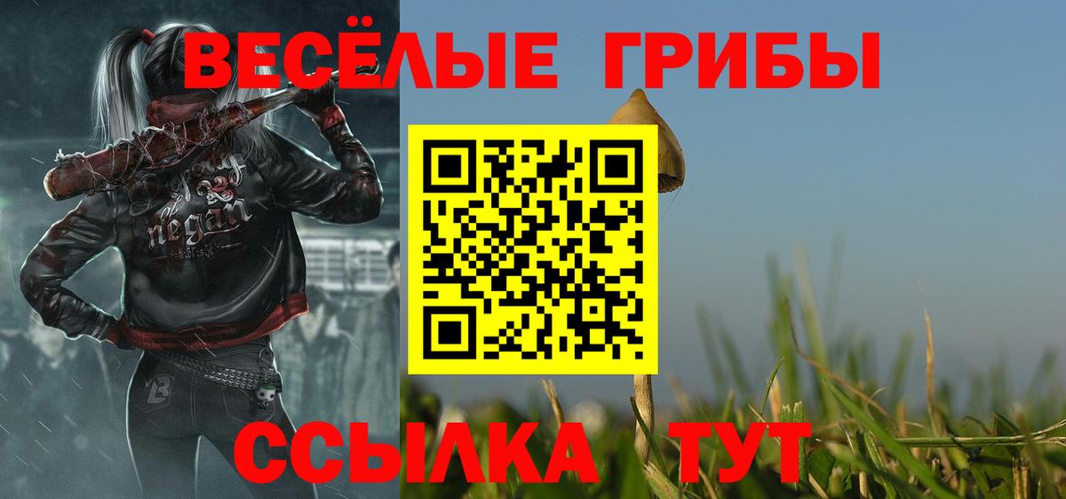 Бошки Шишки Надым