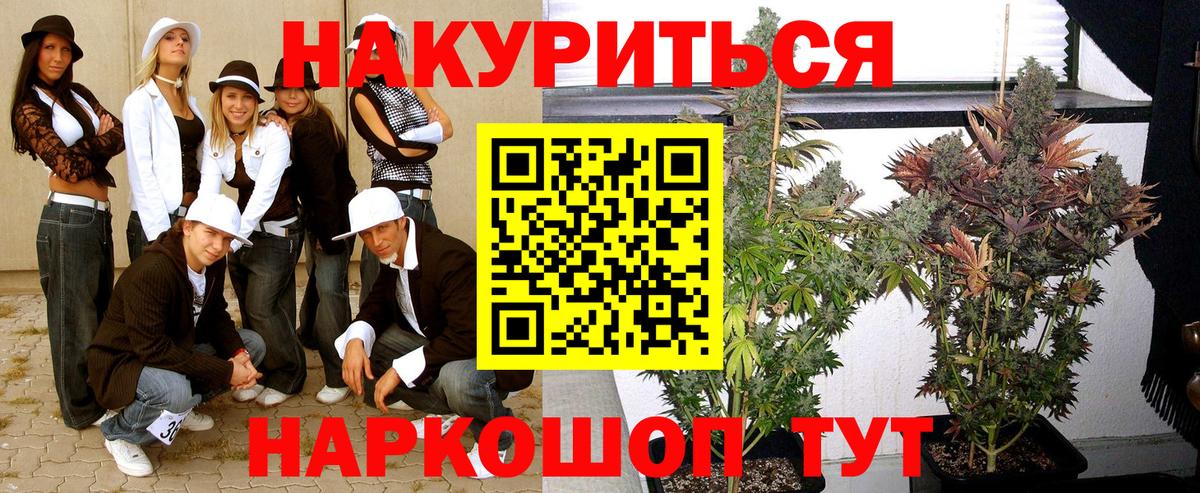 Каннабис индика Надым